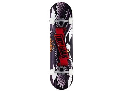 Tony Hawk SS 180 Complete  click to zoom image